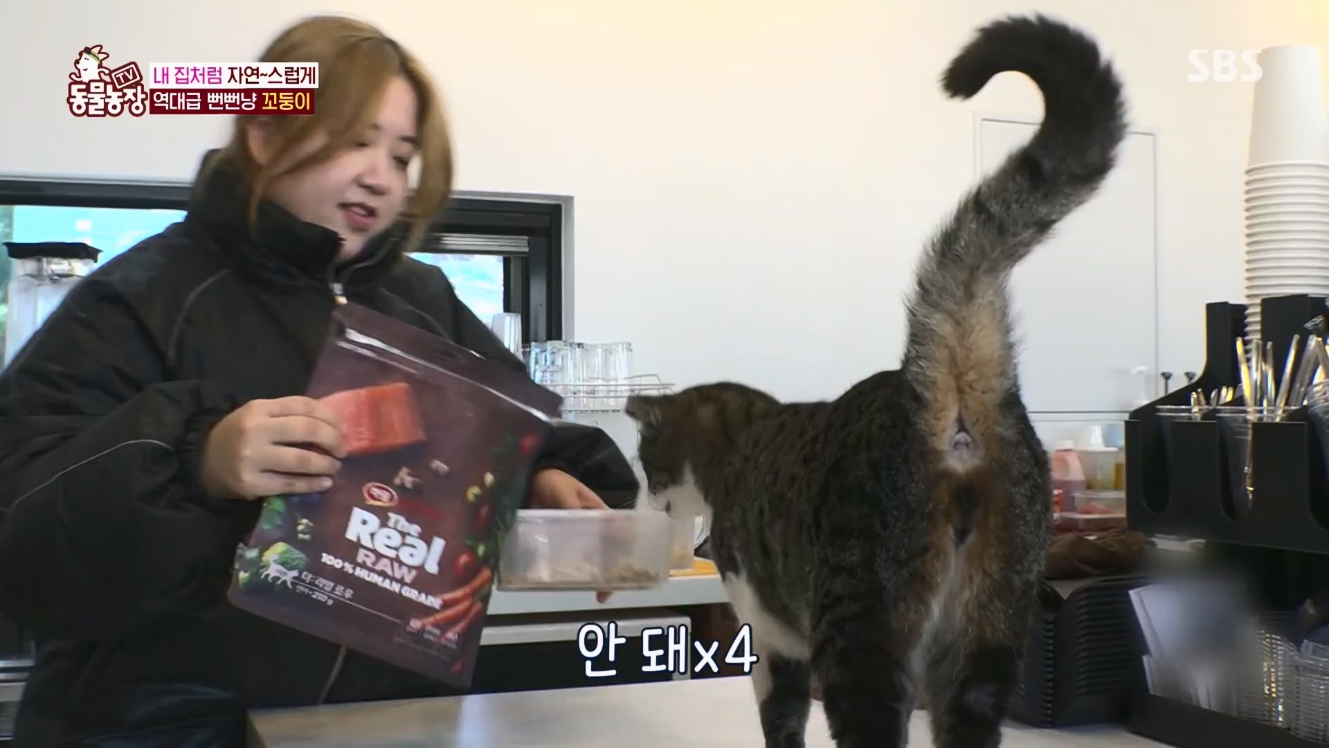 TV 동물농장.E1159.240218p.H264-F1RST.mp4_20240218_170006.024.jpg