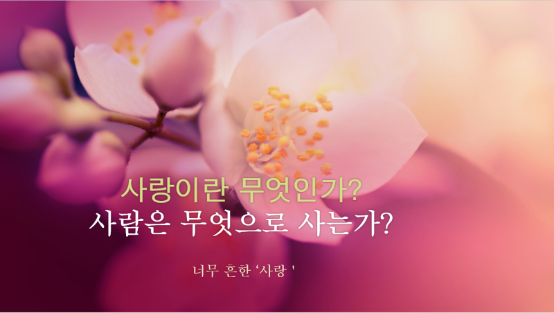  안타까운 '사랑하다'는 표현-너무 흔한 '사랑'
