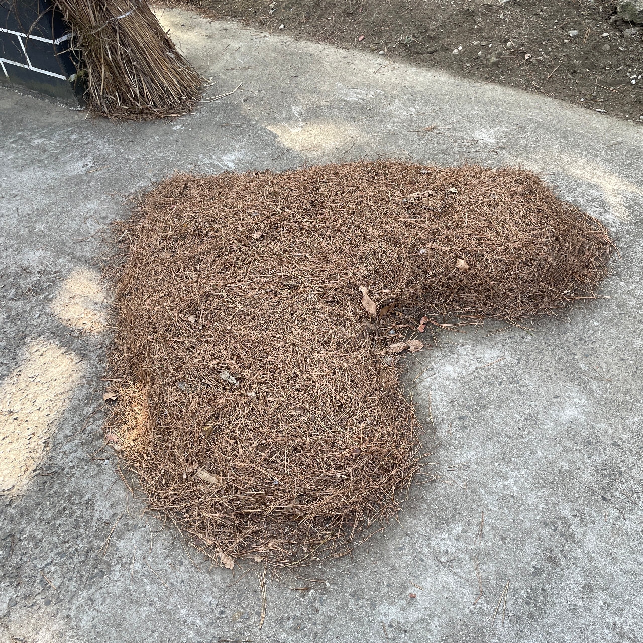 괴산 산막이옛길 하트