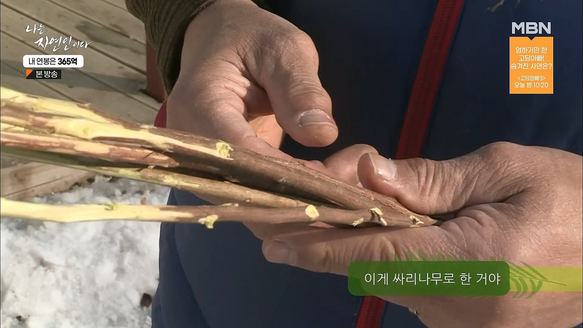 나는 자연인이다.E537.230118p.H264-F1RST.mp4_20230119_204841.365.jpg