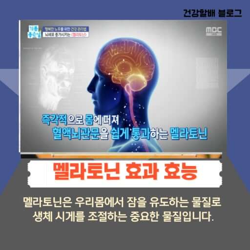 멜라토닌 효과