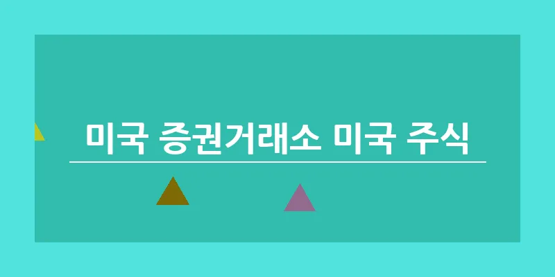 미국 증권거래소 미국 주식_6
