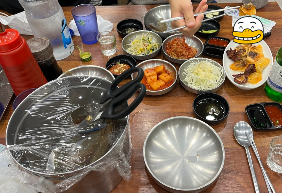 돌고래회 이미지