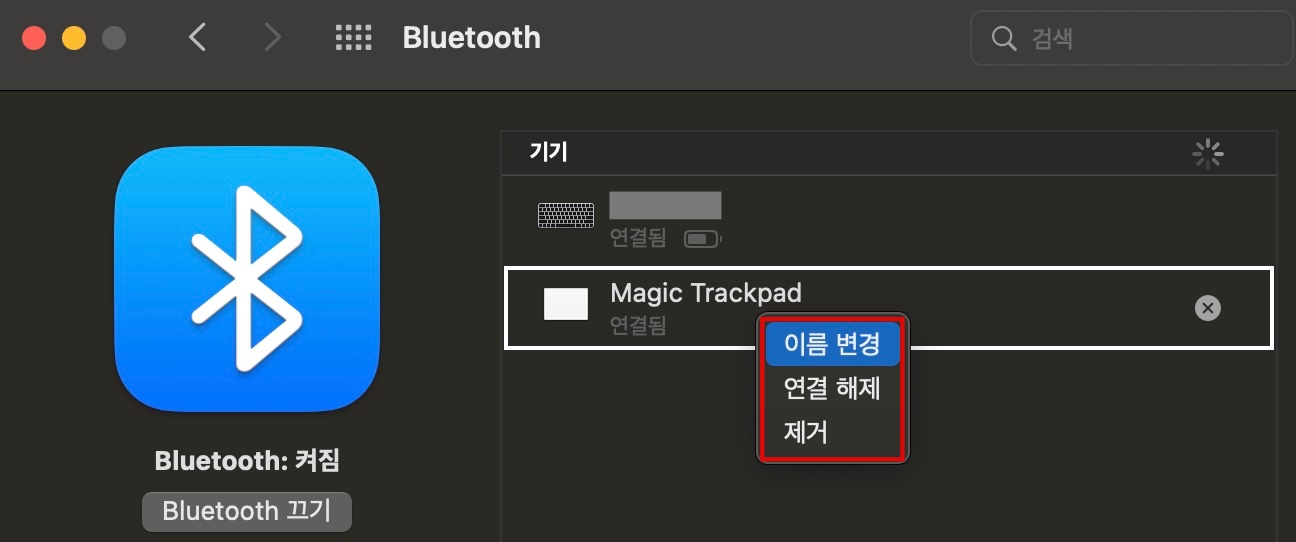 애플 매직 트랙패드 이름 변경