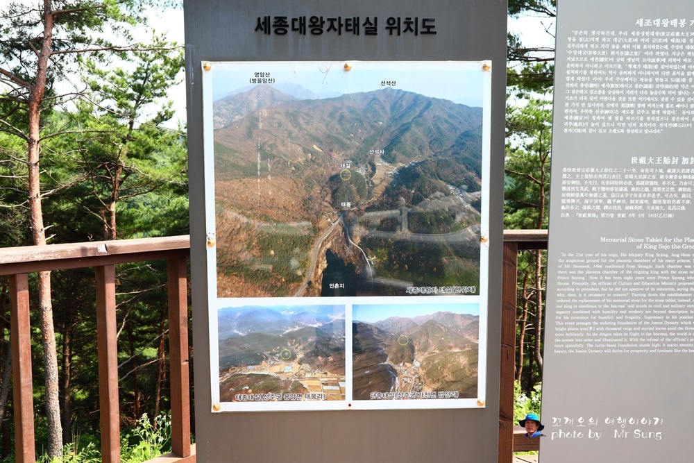 태가 이미지