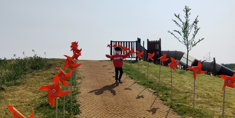 바람개비들 사이에서 뛰어노는 쿠웅이