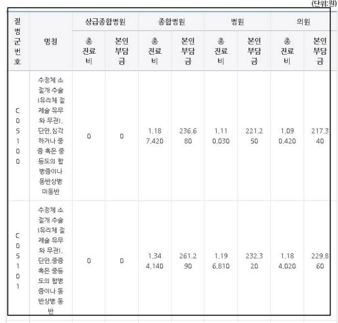 포괄수가제-진료비-검색