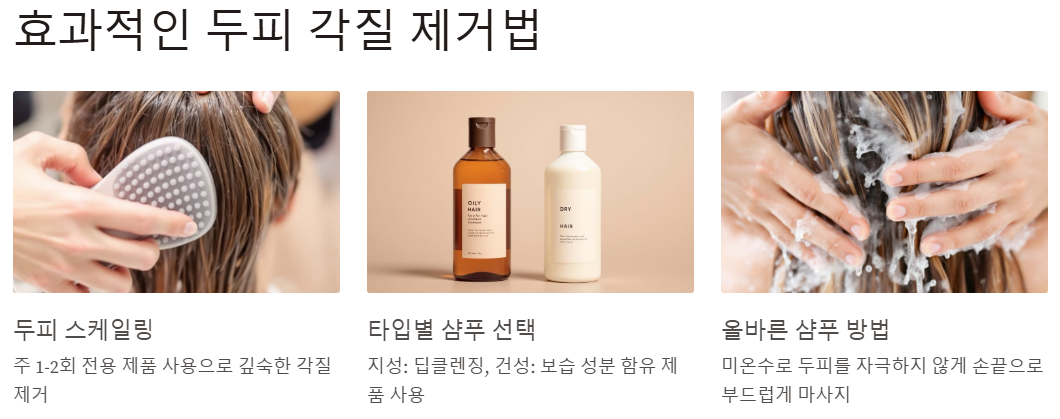 효과적인 두피 각질 제거 방법 알아보기