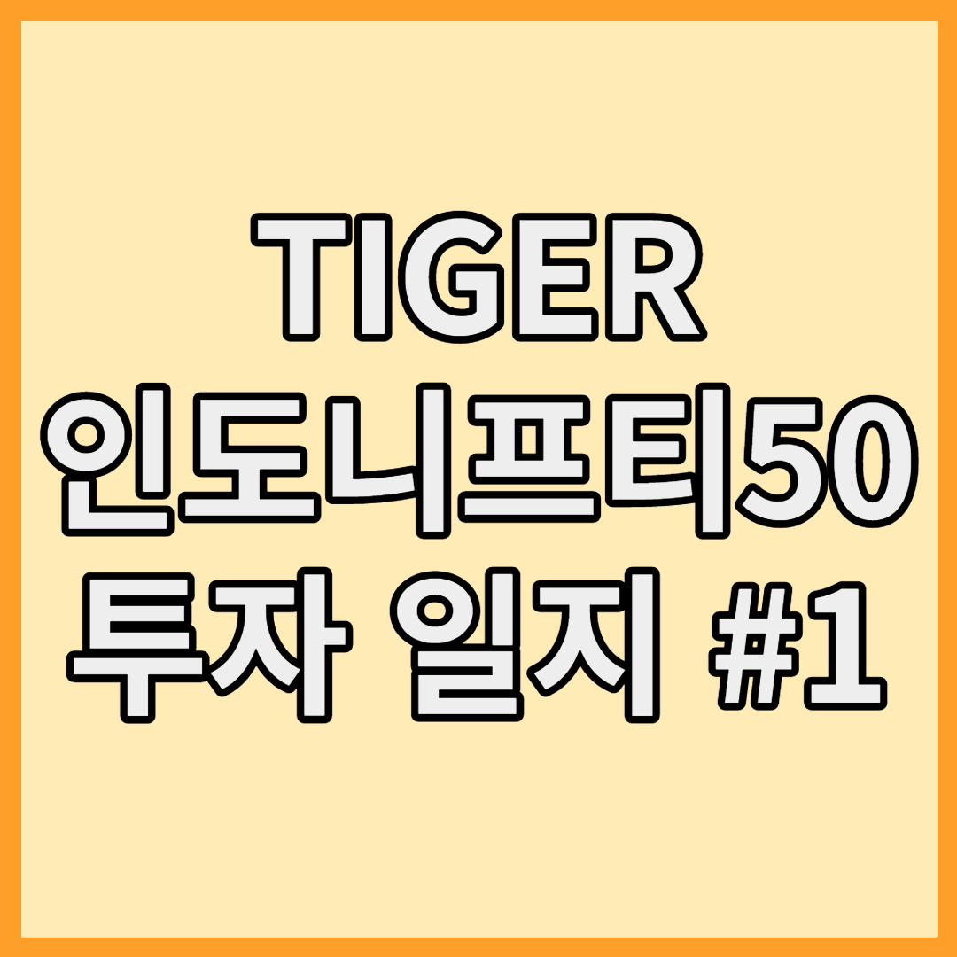 TIGER 인도니프티50 투자일지 1 썸네일