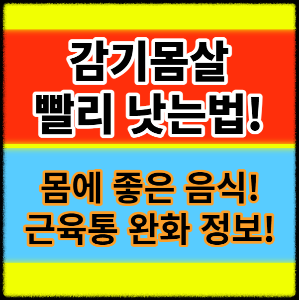 감기몸살 빨리 낫는법