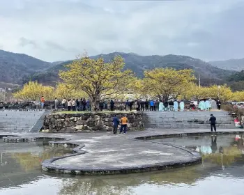 구례 산수유축제_5