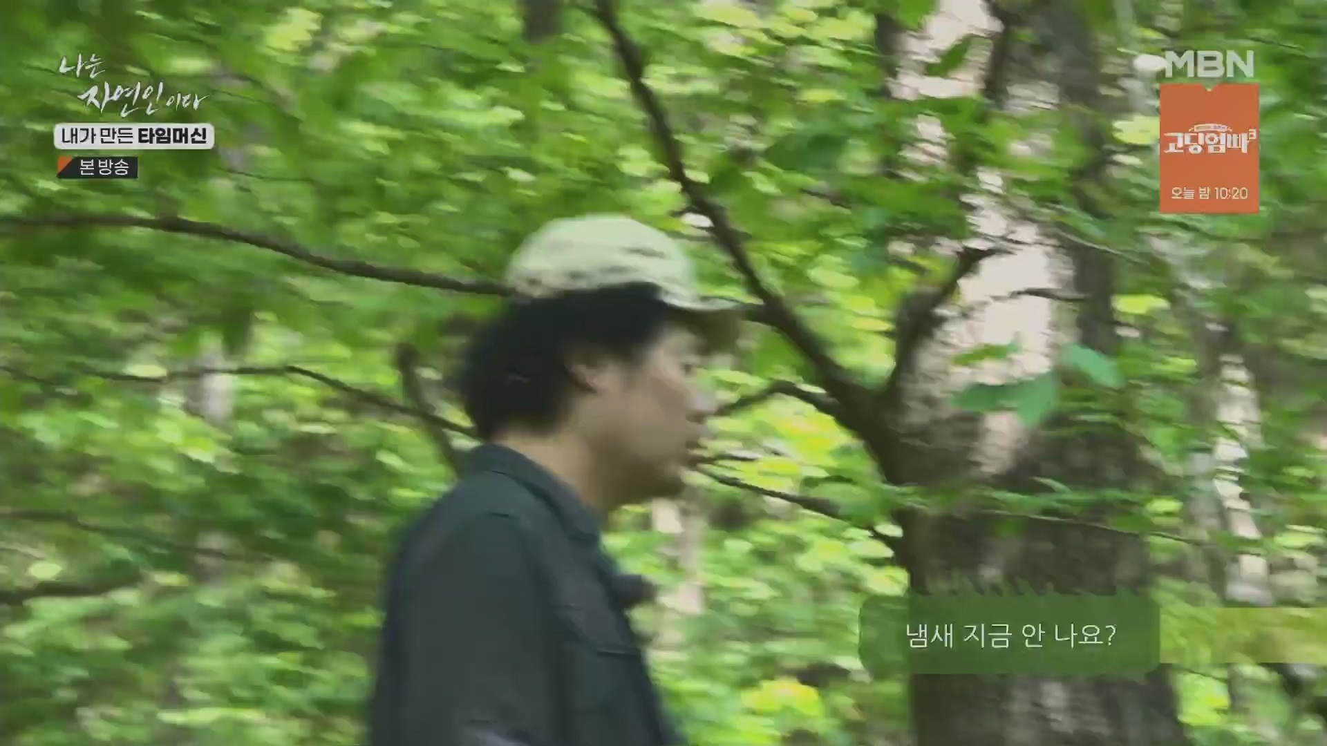 나는 자연인이다.E555.230524p.H264-F1RST.mp4_20230526_212809.270.jpg
