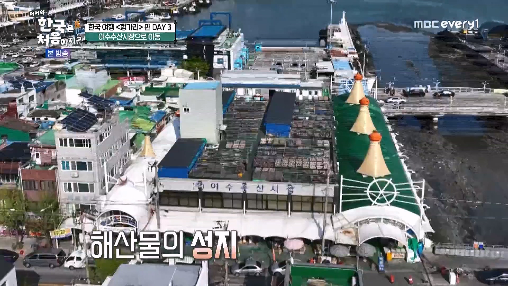 어서와 한국은 처음이지.E318.240613p.WANNA.mp4_20240615_163919.118.jpg