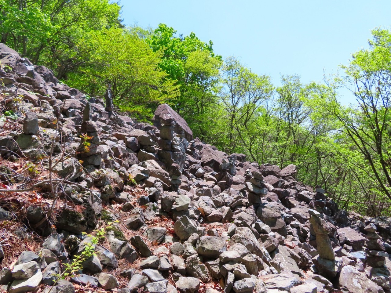 블랙야크 100+, Y출렁다리, 14