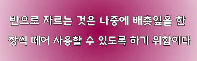  반으로 자르는 것은 나중에 배춧잎을 한 장씩 떼어 사용할 수 있도록 하기 위함이다