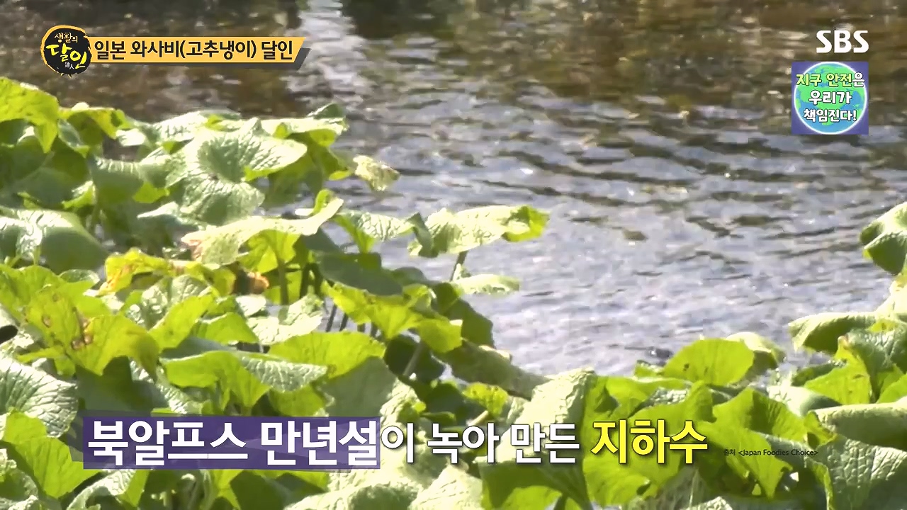 생활의 달인.E908.231017p-NEXT.mp4_20231017_200336.440.jpg