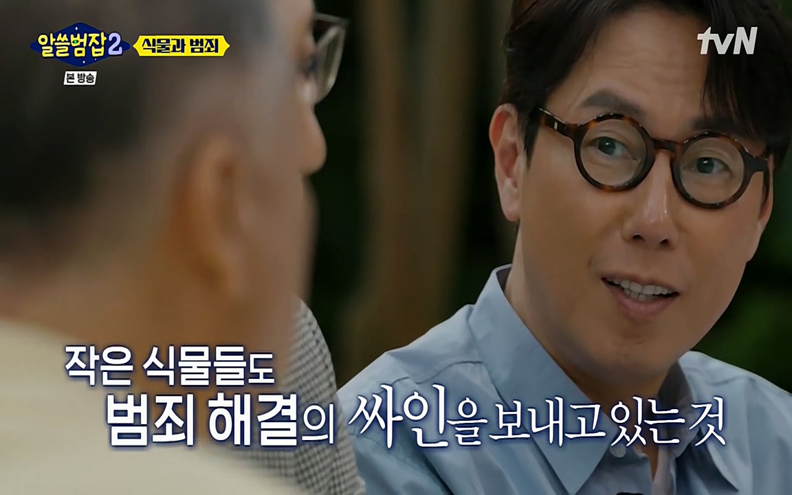 알쓸범잡 2.E15.220425p-NEXT.mp4_20220425_175510.596.jpg
