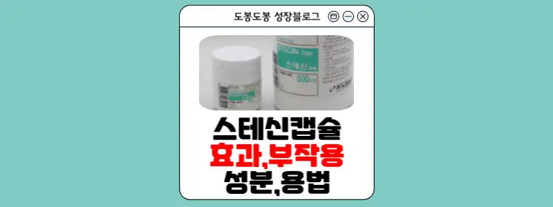 스테신캡슐 안내 이미지