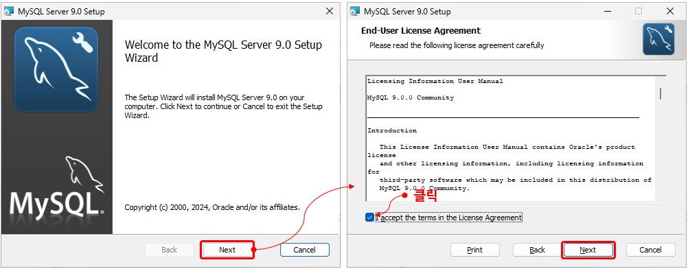 MySQL 9.0.0 설치 진행 과정