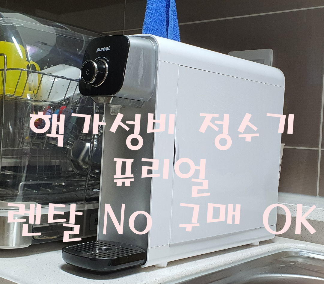  핵가성비 퓨리얼(Pureal) 직수 정수기 - 렌탈 No, 구매 OK / 1년 솔직사용기