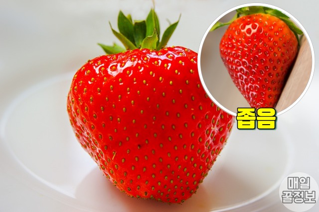 맛있는 딸기 고르는법 5,딸기씨 간격,팁줌 매일꿀정보