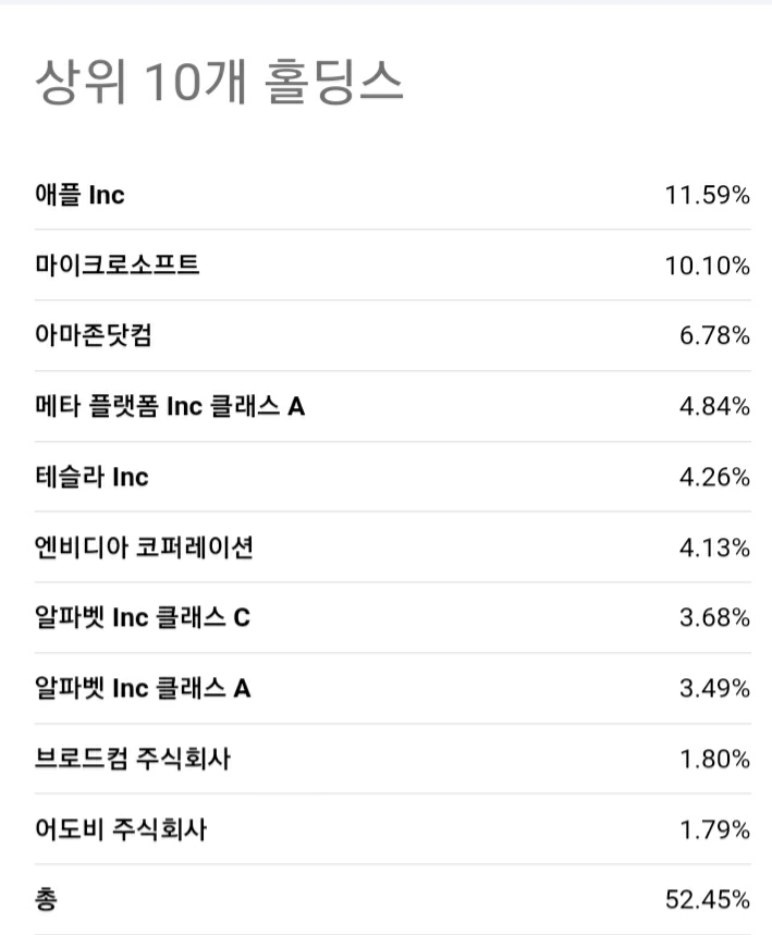  미국 주식 추천 종목 top10(디즈니, 셀시우스, qqq, inmode 등등)