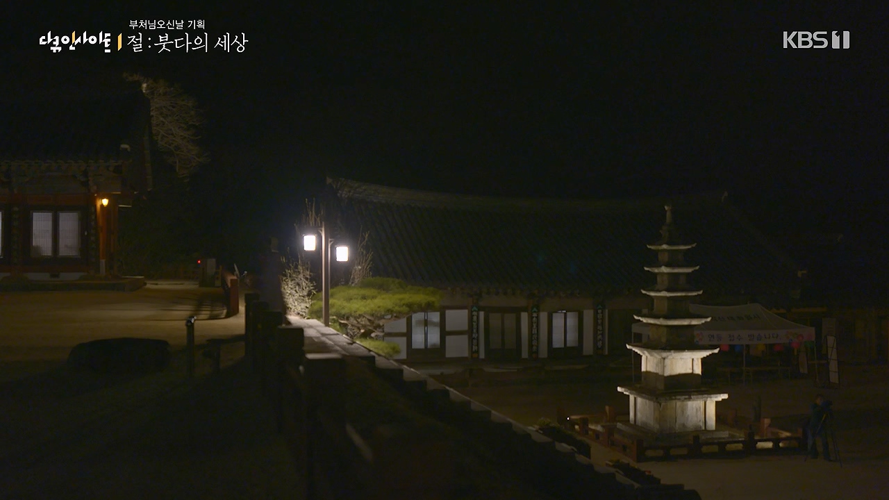 다큐 인사이트.E185.240517p-NEXT.mp4_20240517_202635.551.jpg