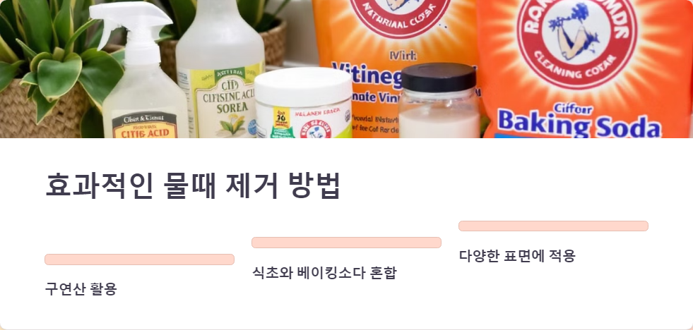물때제거
