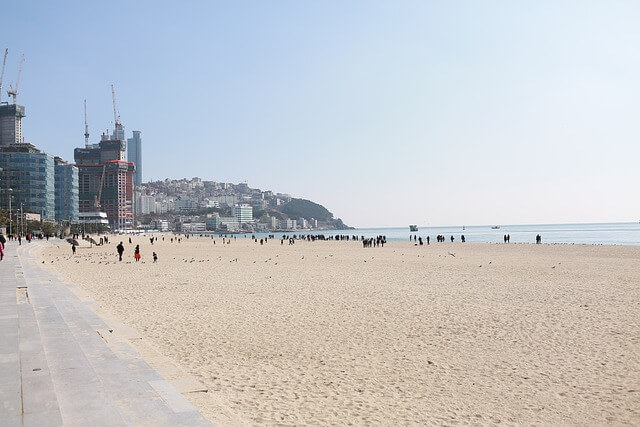 서울런 4050 평생학습포털 신청방법 취업교육경비