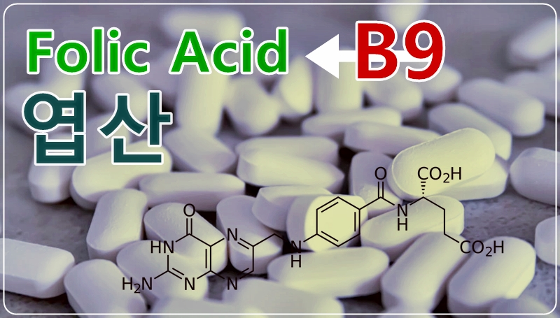 엽산&#44; Folic acid&#44; PGA-folate