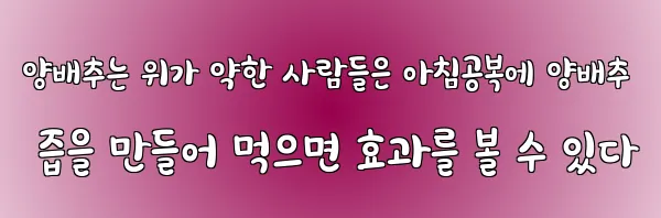 양배추는 위가 약한 사람들은 아침공복에 양배추 즙을 만들어 먹으면 효과를 볼 수 있다