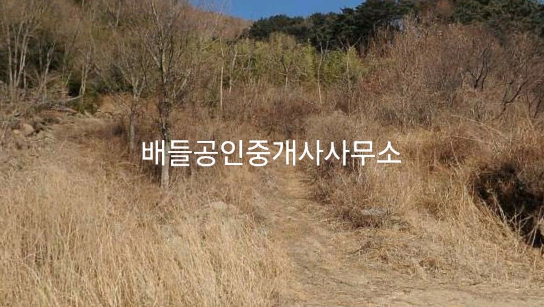 청학동서당청소년수련원 이미지