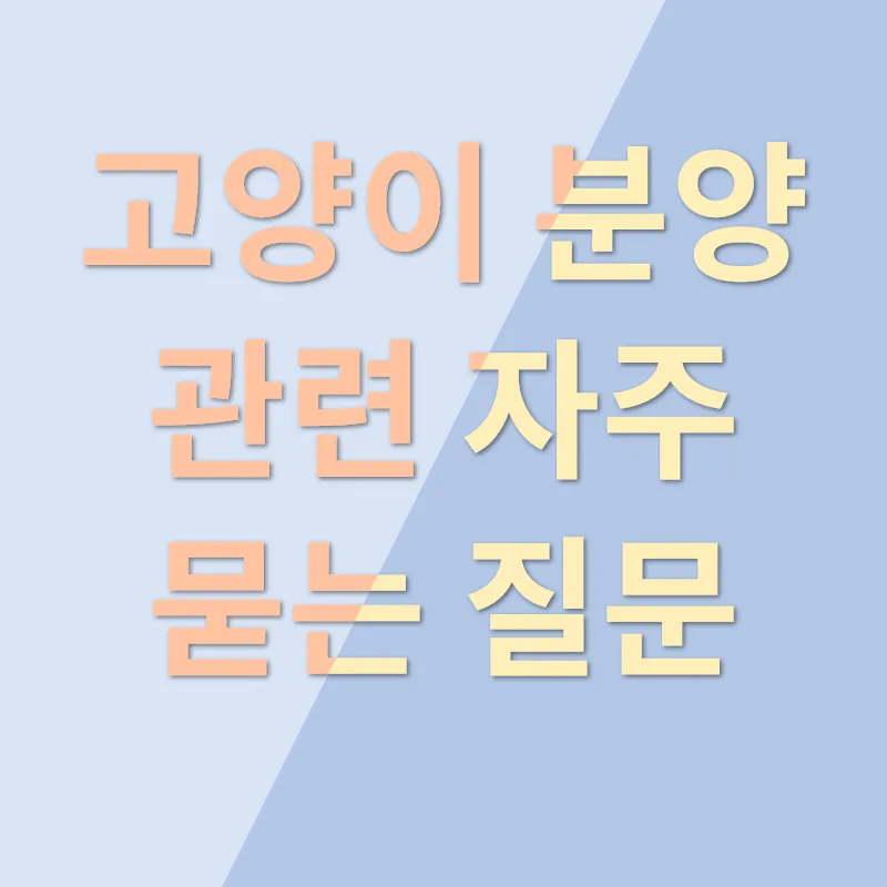 고양이 분양_4
