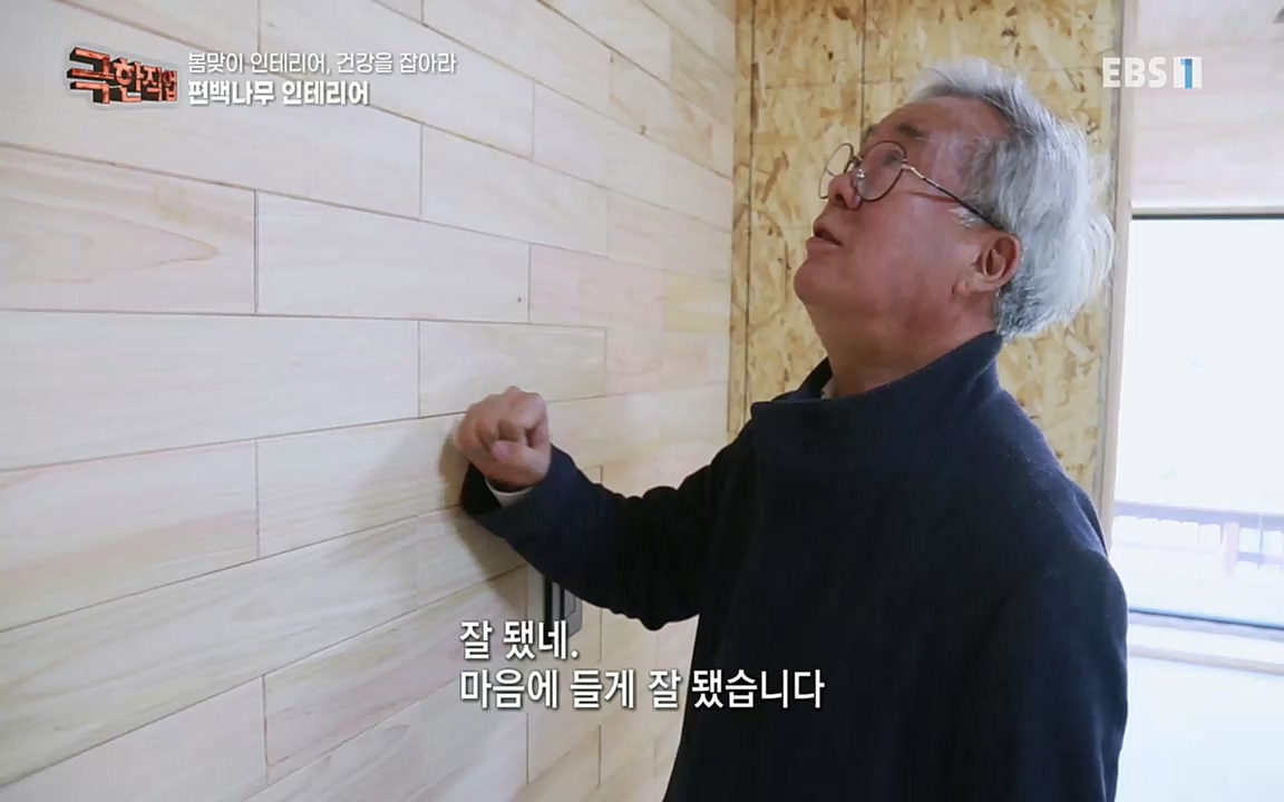 TV - 교육의 중심 EBS봄맞이 인테리어, 천연 소재로 건강을 잡아라.mp4_20220514_192329.822.jpg