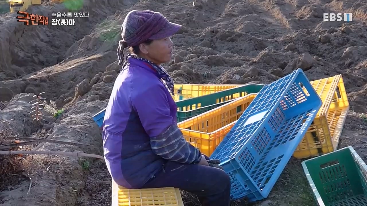 [극한직업] 추울수록 맛있다 장(長)마와 대방어.E734.221218p-NEXT.mp4_20221219_193403.540.jpg