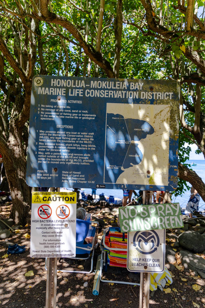 마우이 호놀루아 베이 해양 생명 보존구역