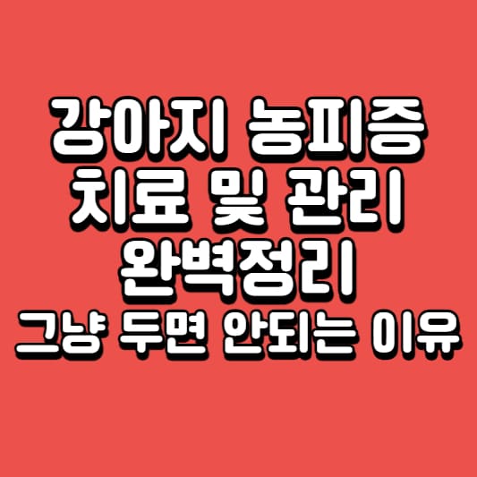 강아지-농피증
강아지-여드름
강아지-발진
강아지-가려움
강아지-간지러움
강아지-가려움-치료
강아지-피부질환
강아지-세균감염
강아지-피부감염