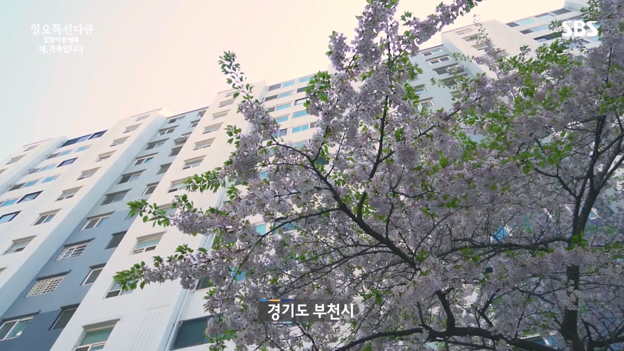 일요특선 다큐멘터리.E346.240513p-NEXT.mp4_20240512_143945.458.jpg