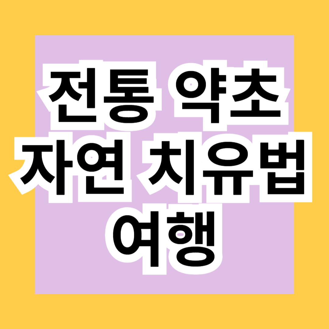 전통 약초 자연 치유법 여행