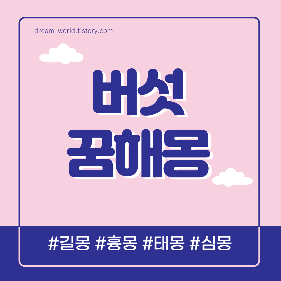  버섯 꿈해몽 38가지 총정리 (표교버섯 꿈해몽, 느타리 버섯, 능이버섯)