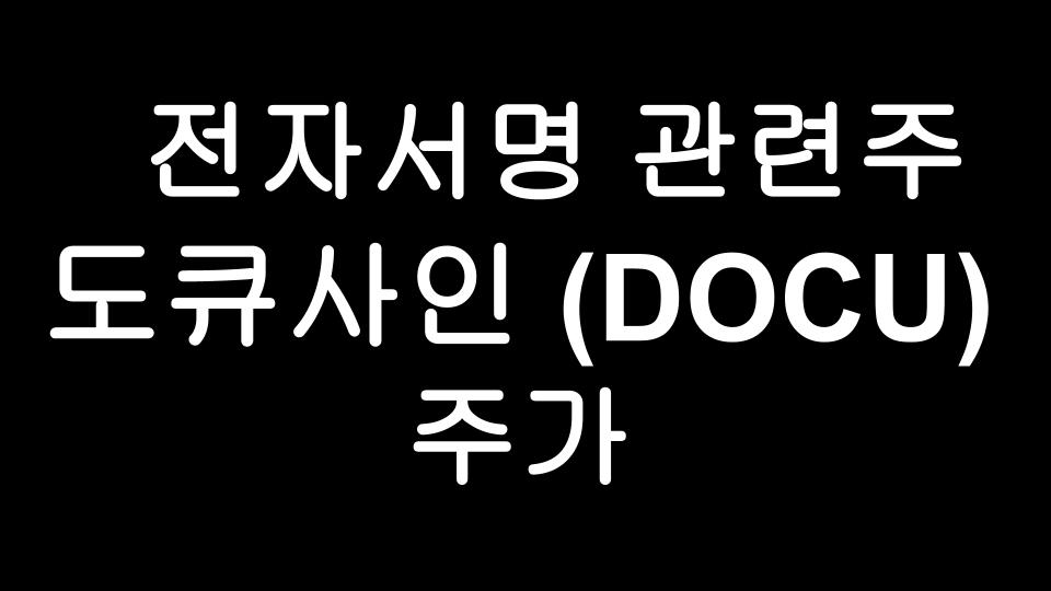  [미국주식] 언택트수혜주 전자서명관련주 도큐사인(DOCU) 주가