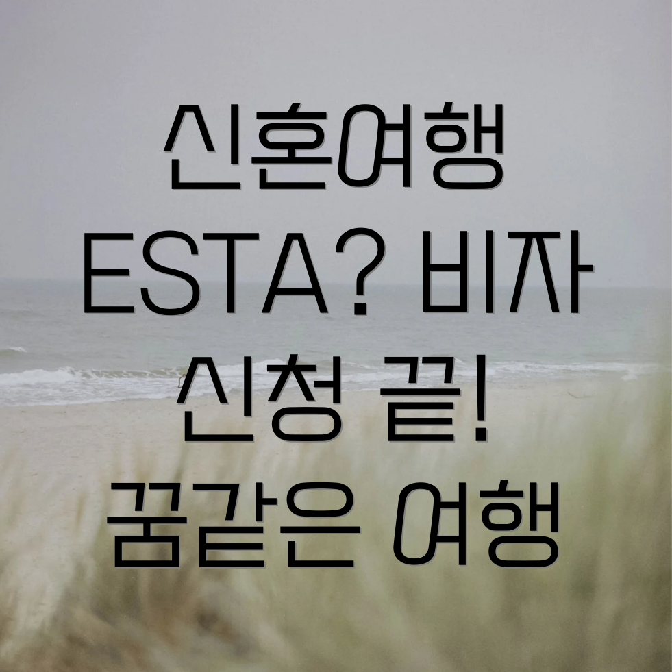 ESTA 신청