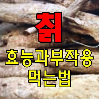  칡효능과 섭취방법,주의사항과 부작용