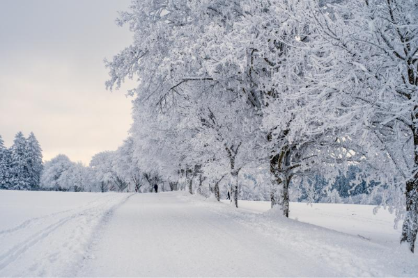 winter_img