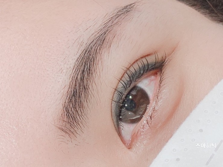 속눈썹 자라는 법 추천 속눈썹 영양제 땜납난 4