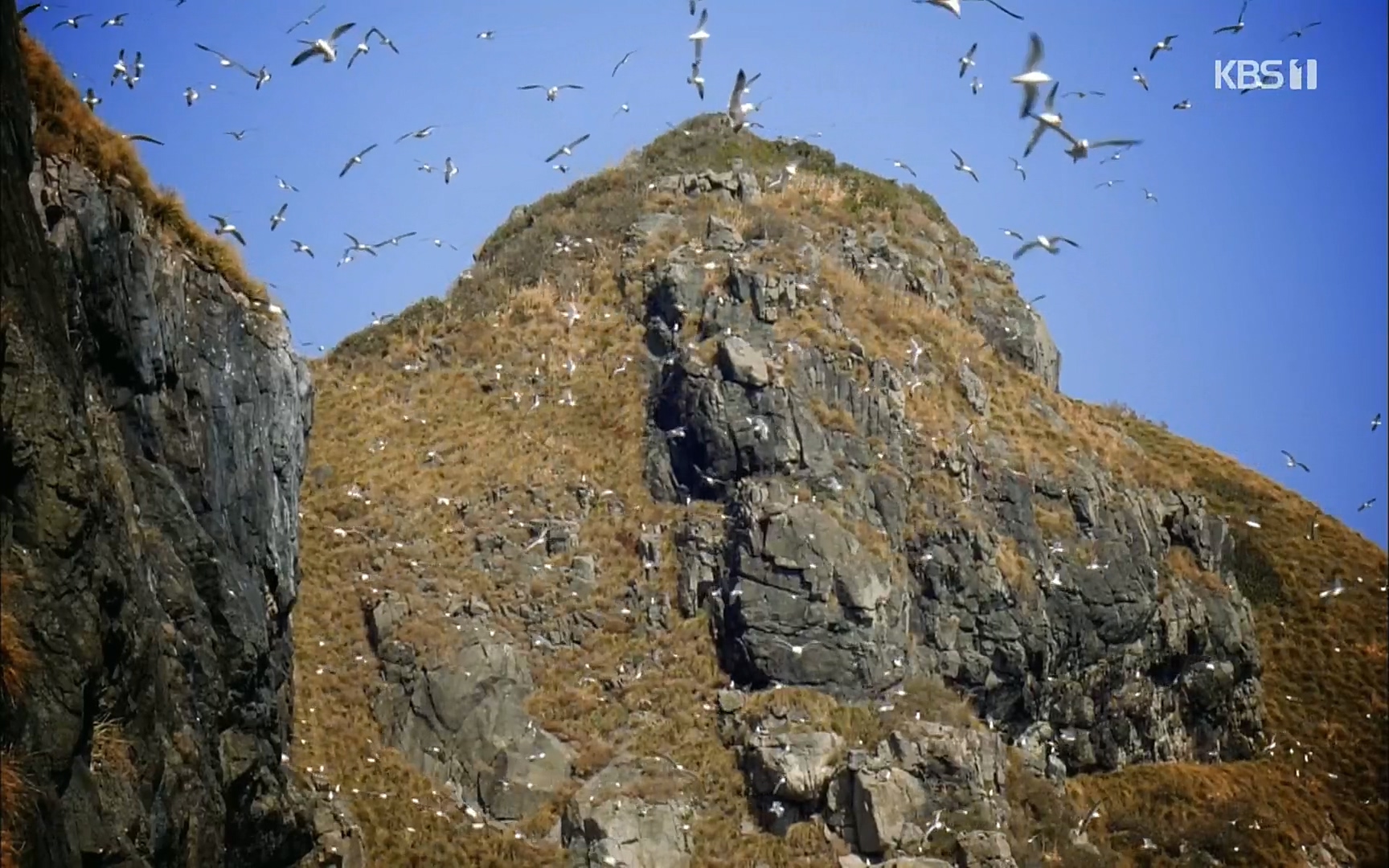 다큐 On.E141p.H264-F1RST.mp4_20220530_200447.300.jpg