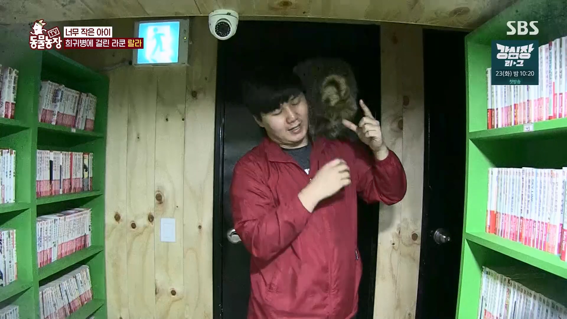 TV 동물농장.E1120.230514p.H264-F1RST.mp4_20230515_203536.730.jpg