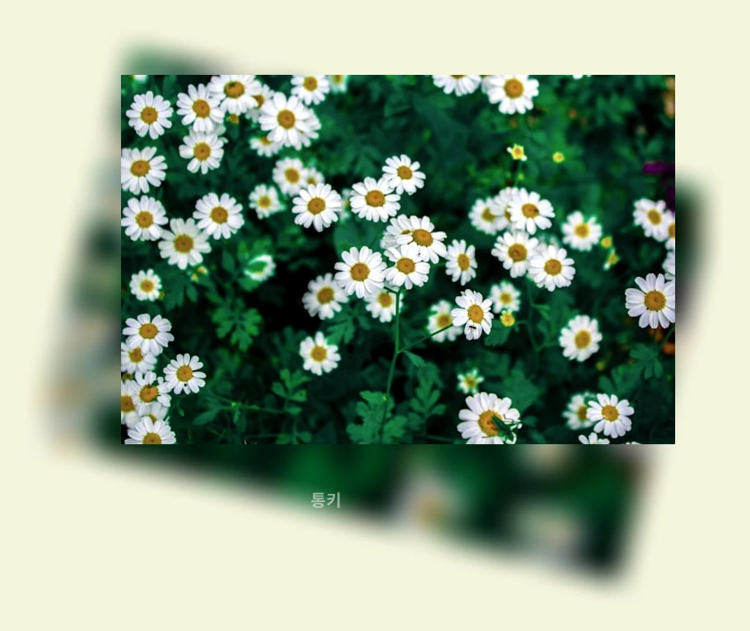 문화적 건강_1_subsection