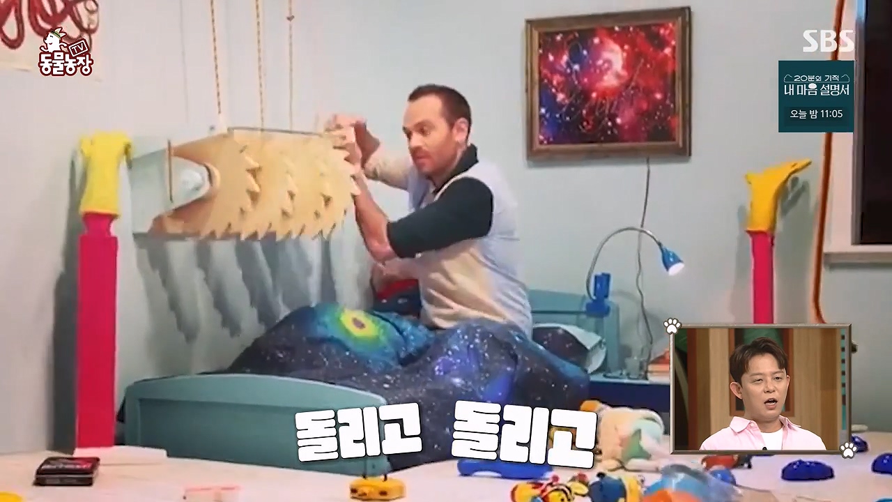 TV 동물농장.E1172.240520p-NEXT.mp4_20240519_162204.113.jpg