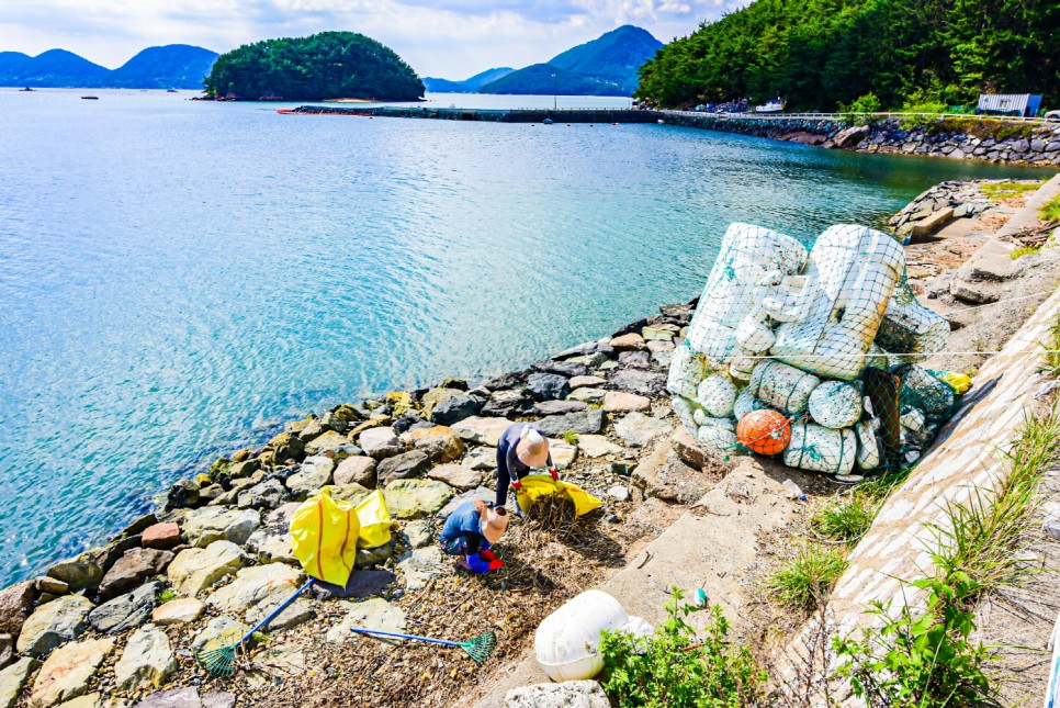 거제 오수마을 갈대밭 가을이 찾아온 20